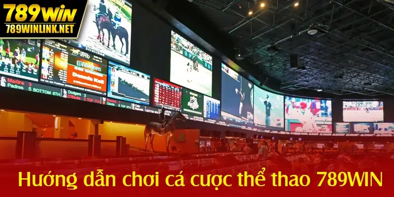 Hướng dẫn chơi cá cược thể thao - Đa dạng kèo cược hấp dẫn